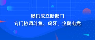 行業動態一周聚焦 科技巨頭戰略調整，傳統品牌商標爭議持續